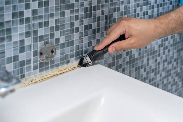 Certified Mold Removal in Basalt, CO